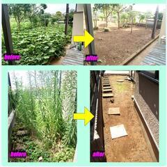 草刈り、芝刈り・芝張り、防草シート - 剪定/造園