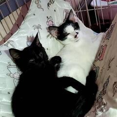 あんことおもち😽