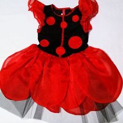🎃ハロウィン・てんとう虫🐞コスプレの画像