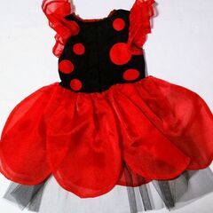 🎃ハロウィン・てんとう虫🐞コスプレの画像