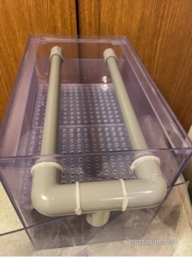 ドライ層  熱帯魚 水ピカピカ