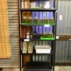 メダカ無人販売しませんか！1ヶ月1000円〜