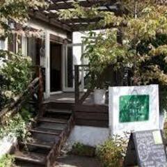【中級者コース】これからソロウクレレに挑戦したい人！講座の画像