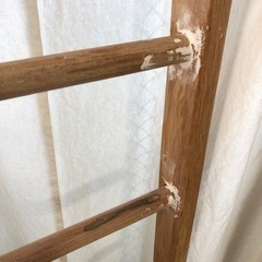 ウッドラダー　梯子　ディスプレイの画像