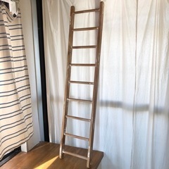 ウッドラダー　梯子　ディスプレイ