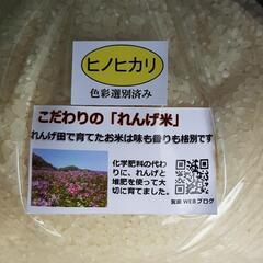 玄米　ヒノヒカリ
