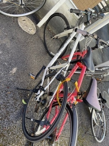 コーダブルーム  サイズ440