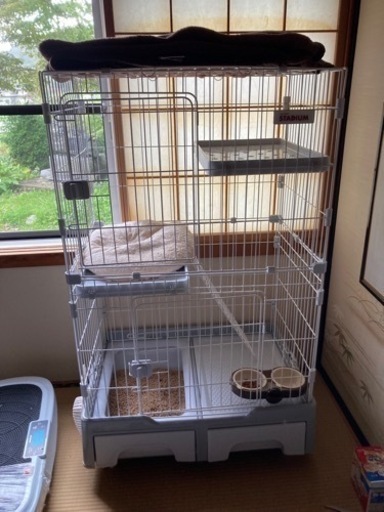 キャットゲージ