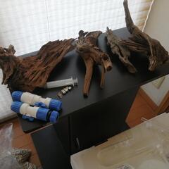 （取り引き完了）ADA アクアリウム　60cm　水槽他　水草育ちますの画像