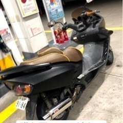 フォルツァmf06の画像