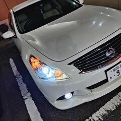 セダン仲間