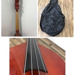 Carlo giordano カルロジョルダーノ コントラバス SB-100L 直接引取のみ、 10月23日までの出品！の画像