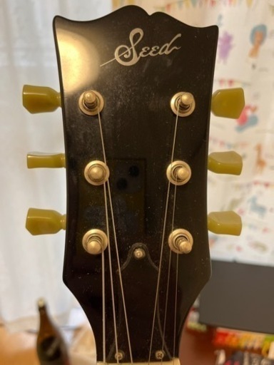 【エレキ Seed TD-SG】本日最終締切