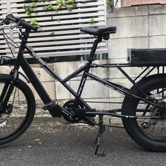 Cargo Bike Dad 88 + FREEPOWER