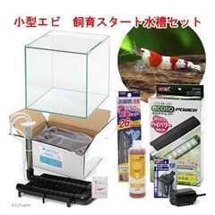 ！！水槽　アクアリウム　セットまたはグッズ　譲っていただける方探...