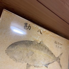 一点物の竿付き❗️☆大物用☆アルファタックルパシフィックスプリント　10～30LBSの画像