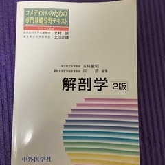 解剖学