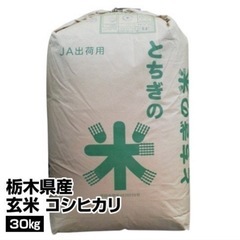 R5年度　栃木県産　コシヒカリ　玄米　
