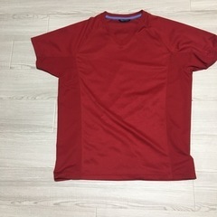 Tシャツ(ユニクロ)の画像