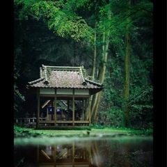 ✨岩戸・高原米✨新米 ヒノヒカリ 5キロ 棚田米 岩戸神社 パワースポットの画像