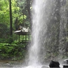 ✨岩戸・高原米✨新米 ヒノヒカリ 5キロ 棚田米 岩戸神社 パワースポットの画像