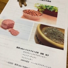 ドッグフィトセラピーzoom講座開講します！の画像