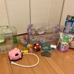ハムスターケージ　飼育セット　SANKOルーミィ