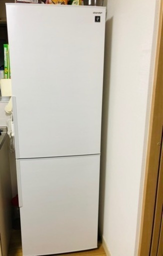 冷蔵庫　SHARP (310L )10/23自宅まで取りに来ていただける方
