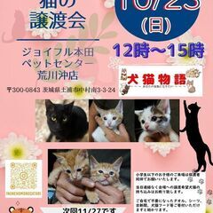 猫の譲渡会～あなたの家族になりたい～～