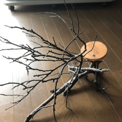 オブジェのような台の画像