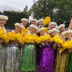 フラ初心者さん募集