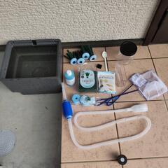 サバの極みメダカ十匹＋飼育セット