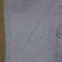 ②ベビー服(80サイズ)の画像