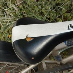 子供　自転車　20インチの画像