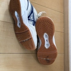 【中古】体育館シューズ　24.5の画像