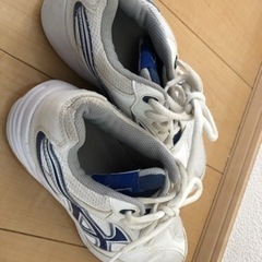 【中古】体育館シューズ　24.5の画像