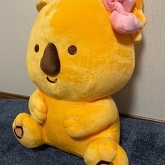 コアラのマーチ　ぬいぐるみ（メス）の画像