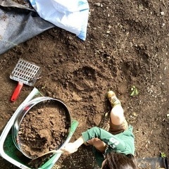 残土、diy 芝を剥がした後の土あげます
