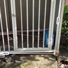 犬小屋