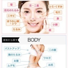 BODY ARCHI会員様 湘南美容クリニック特別優待券の画像
