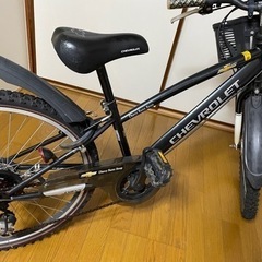 自転車　chevrolet  24型の画像