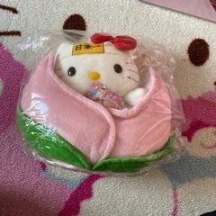 キティちゃん‼️色々