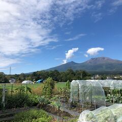 農作業スタッフの画像