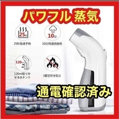 スチーマーアイロン　大量スチーム　スチームアイロン　パワフル　シ...