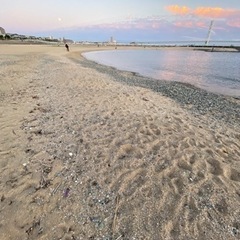 大蔵海岸ビーチクリーン&ヨガ