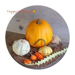 【ハロウィンセット】＊ハロウィン＊季節のアイテム＊おもちゃカボチ...
