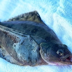 ✨釣り仲間募集です✨ - メンバー募集
