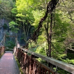 ハイキング🚶‍♀️💛