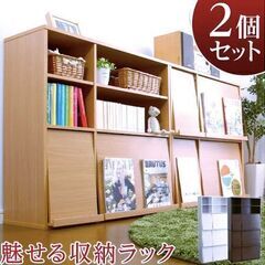 【理想を求めた収納ラック】ディスプレイラック2個セット