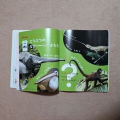 こどもちゃれんじ(教材の本)の画像